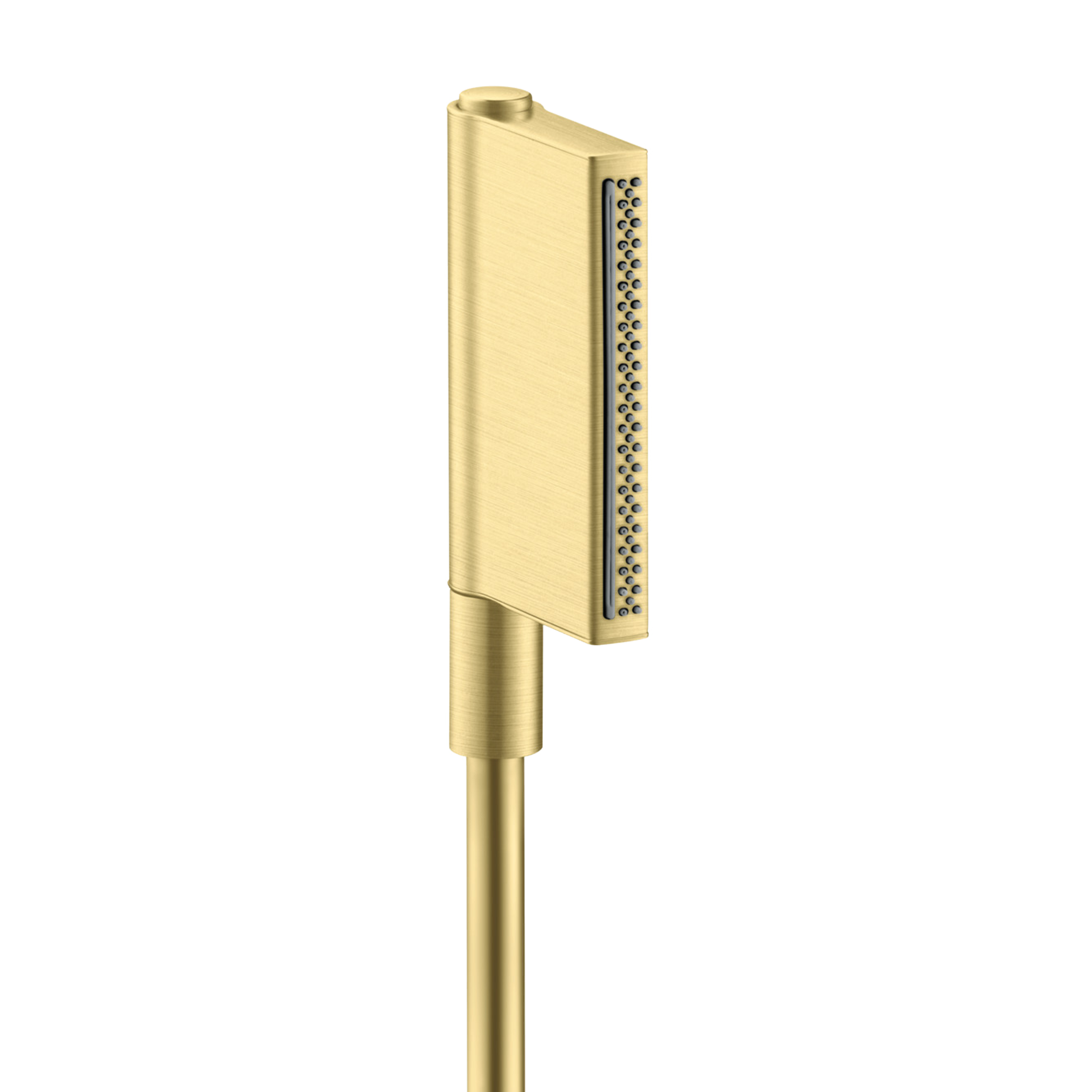 AXOR One Hand Shower 2jet from Brandt in Brushed Brass finish