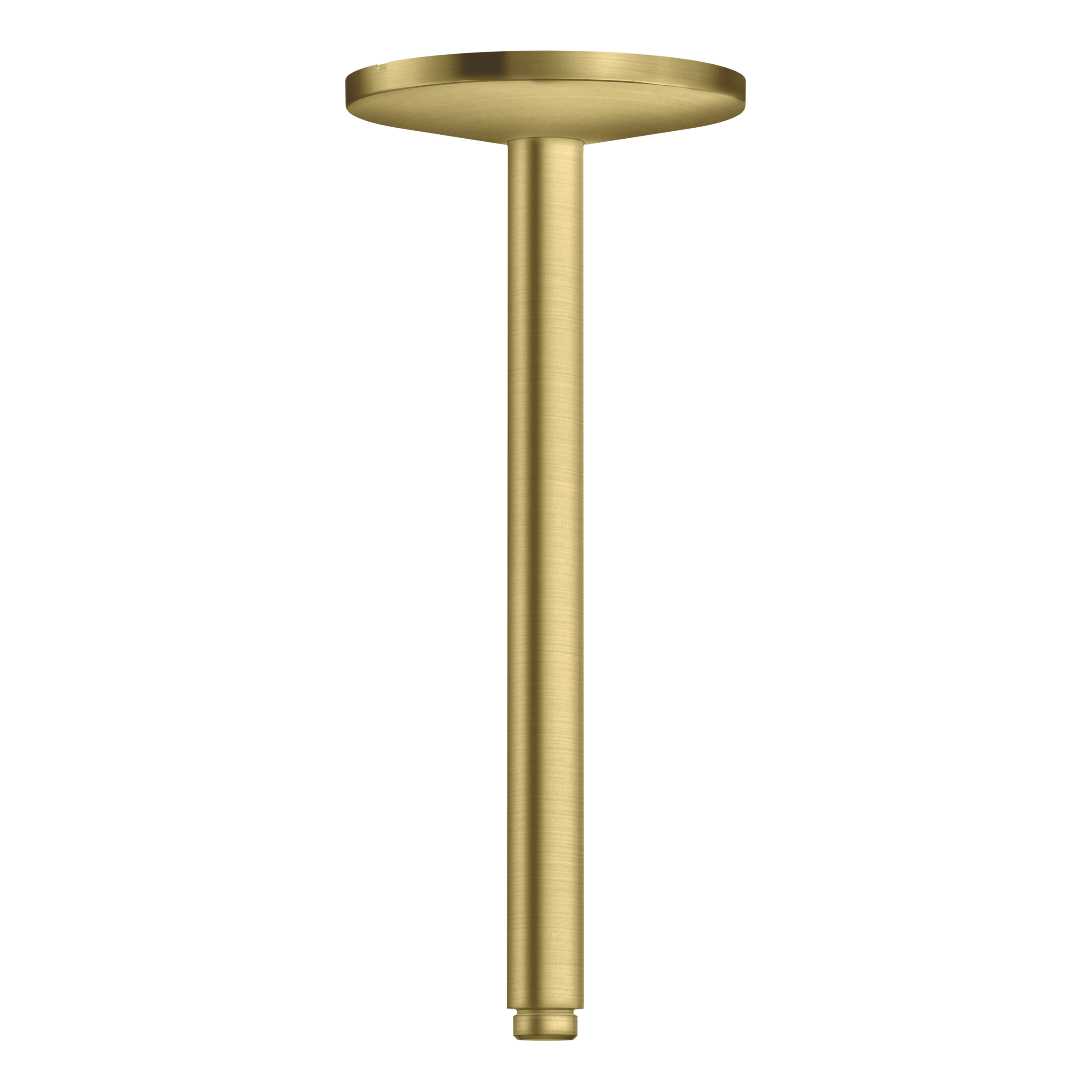 AXOR One Ceiling Connector 300 mm for Overhead Shower 280 1jet from Brandt in Brushed Brass finish